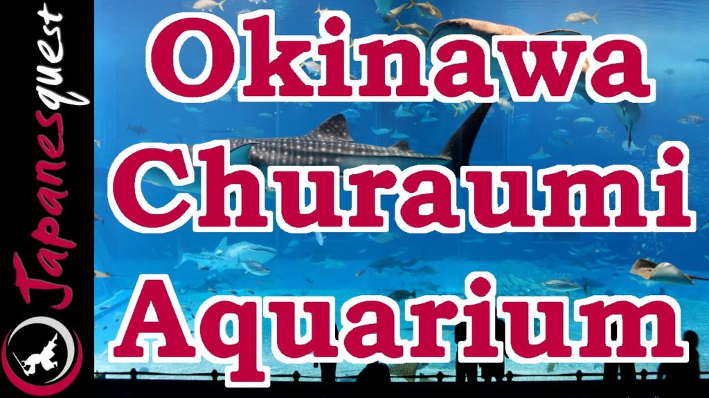 Okinawa Churaumi Aquarium Tour! – Video Japan Guide Okinawa Churaumi Aquarium Tour! - Video Japan Guide
