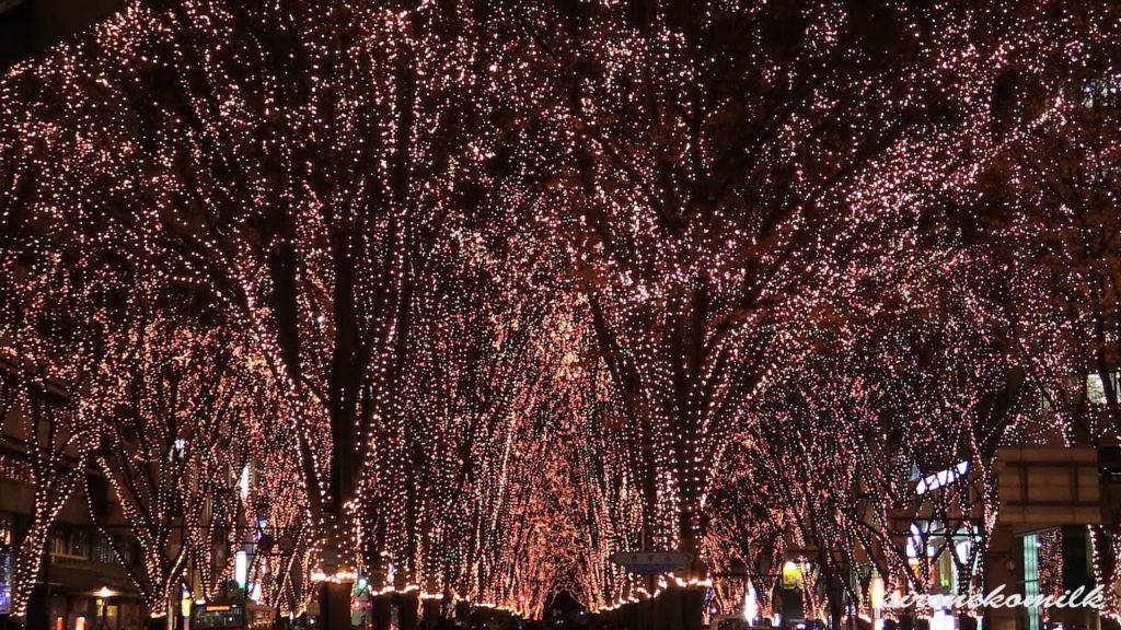 SENDAI PAGEANT OF STARLIGHT 2013年 仙台光のページェント 東北のウィンターイルミネーション Christmas Lights in Miyagi Japan