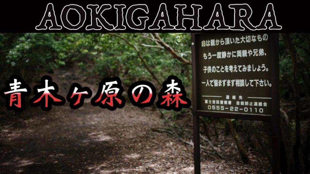 Aokigahara forest hiking day trip near Mt Fuji