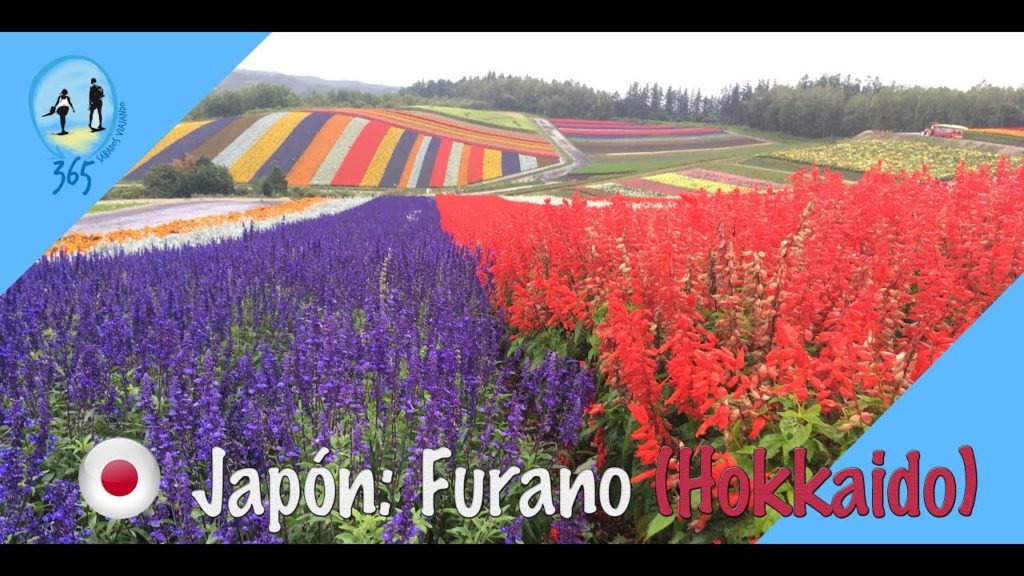 Hokkaido el norte de Japón: Los campos de flores de Furano en Japón