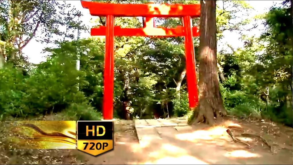 159. Walking at Ubutama Shrine in Sendai City - Japan