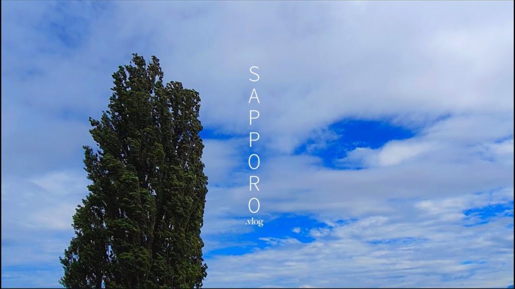 조용한 여름 삿포로 여행(Sapporo vlog in summer/feat.asmr )