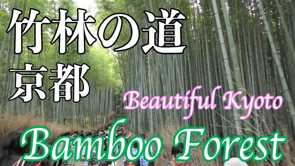 Arashiyama Bamboo Forest in Kyoto|Japan Travel Guide|京都嵐山の竹林の道を歩いて観光 Arashiyama Bamboo Forest in Kyoto|Japan Travel Guide|京都嵐山の竹林の道を歩いて観光