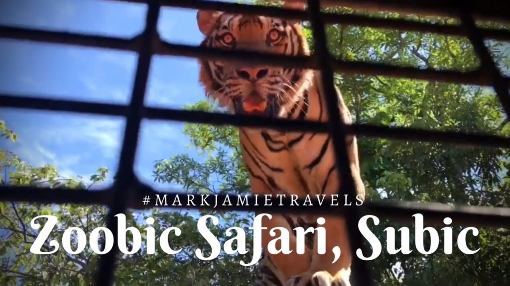 Subic Tour: Zoobic Safari