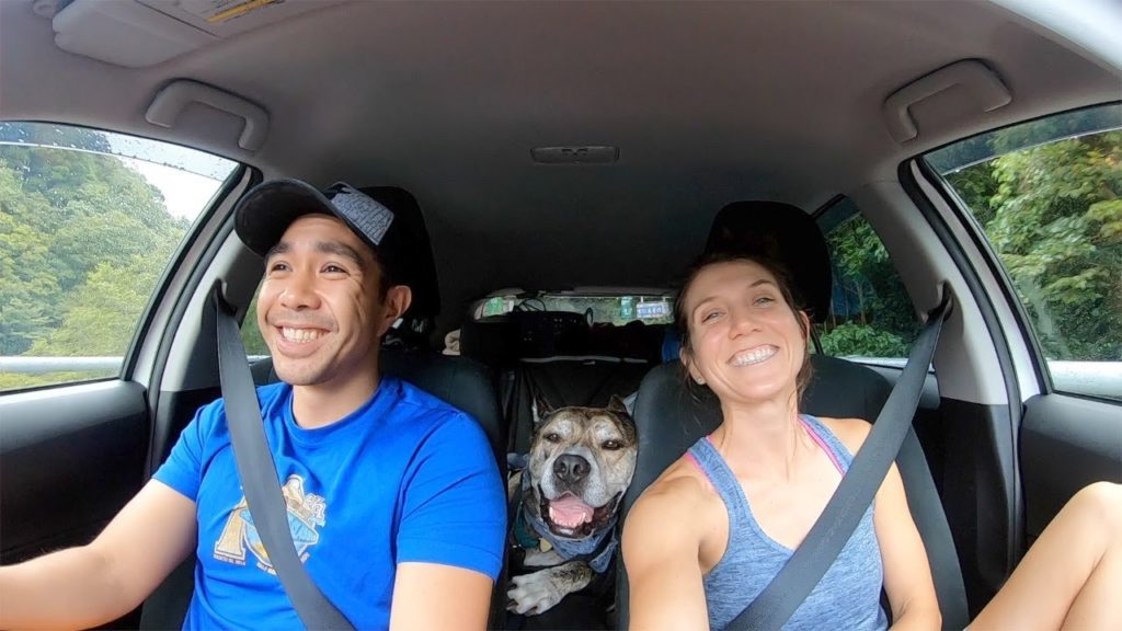 Izu Peninsula Road Trip 2019