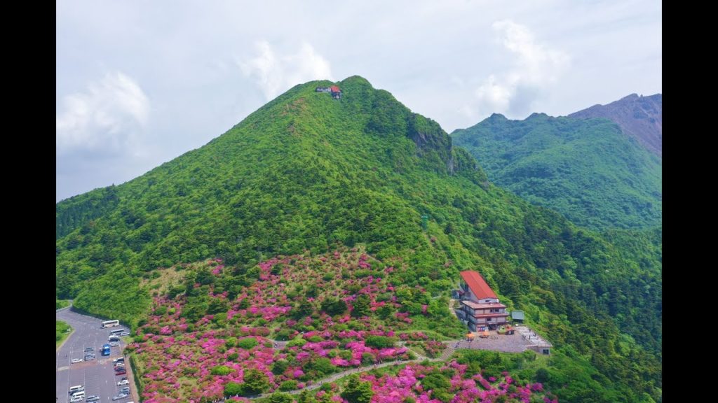 JG☆☆☆☆☆ 4K HDR 長崎 雲仙のミヤマキリシマ(天然記念物) Nagasaki,Azarea at Unzen(Natural Monument)