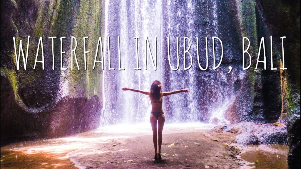 PERFECT Waterfall in a CAVE in Ubud, Bali - Worldtrip Vlog #11