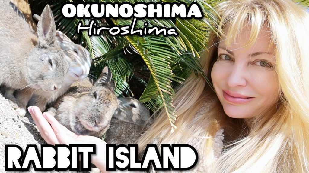 Adeyto 🐇🌴🐰 missing ⛵ on RABBIT ISLAND bcs Bunny OKUNOSHIMA KYUKAMURA Hiroshima 📽️ HUAWEI P20 PRO