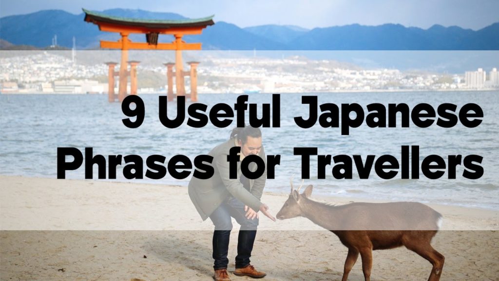 9 Useful Japanese Phrases for Travellers | Japan Video Travel Guide | Hidden Japan