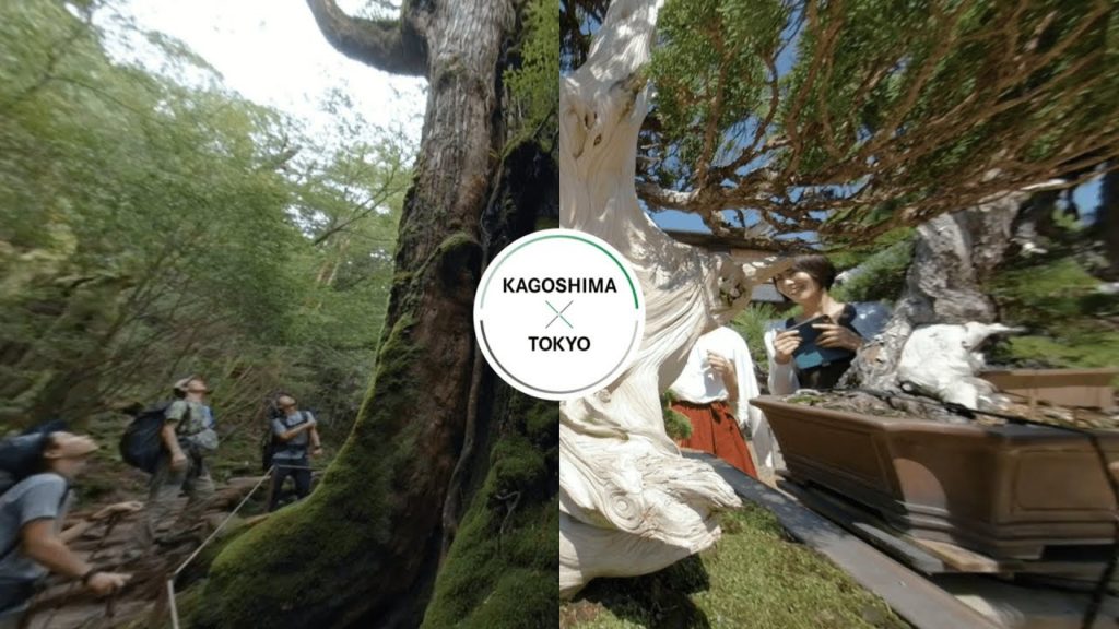 360° KYUSHUxTOKYO – Nature / KAGOSHIMA 360° KYUSHUxTOKYO - Nature / KAGOSHIMA