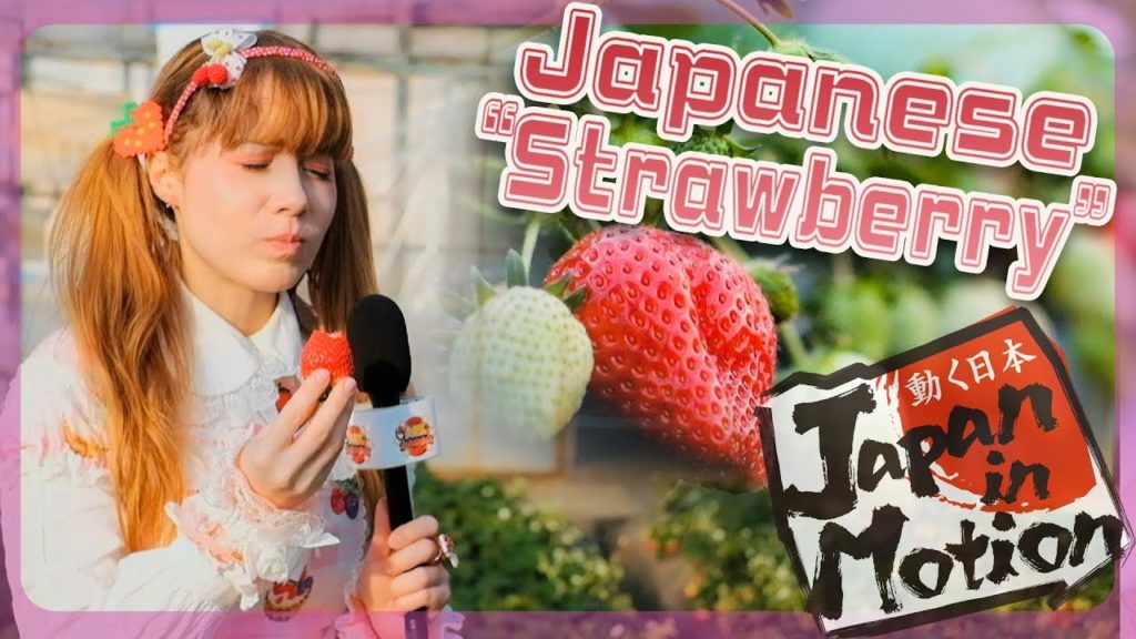 日本の“いちご” Japan in Motion S14#27 “Chiba“