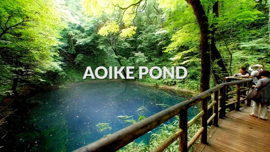 Aoike Pond, Aomori | One Minute Japan Travel Guide Aoike Pond, Aomori | One Minute Japan Travel Guide