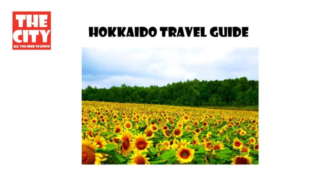 Hokkaido travel guide