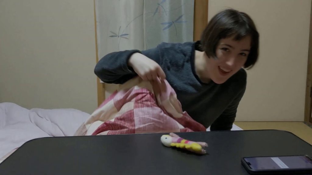 A day out in Hokkaido! Hakodate Morning Market and Mt Hakodate A day out in Hokkaido! Hakodate Morning Market and Mt Hakodate