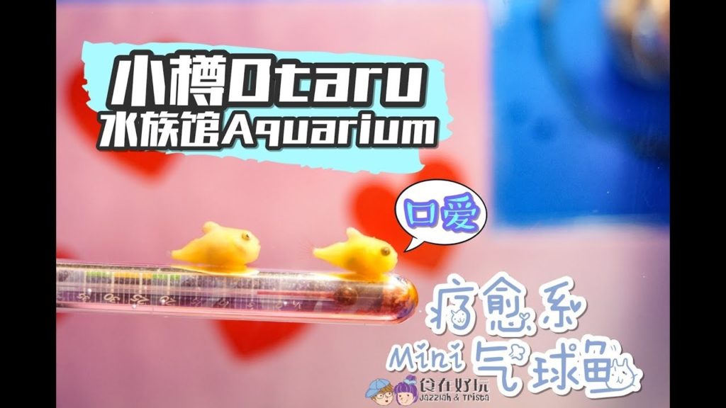 【旅游Vlog】小樽水族馆 Otaru Aquarium:和企鹅一起自拍 【旅游Vlog】小樽水族馆 Otaru Aquarium:和企鹅一起自拍