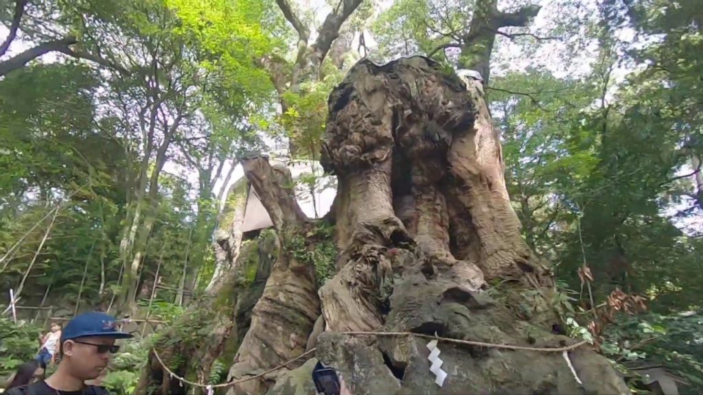 20190503 Atami, Kinomiya Shrine, Shizuoka, Japan