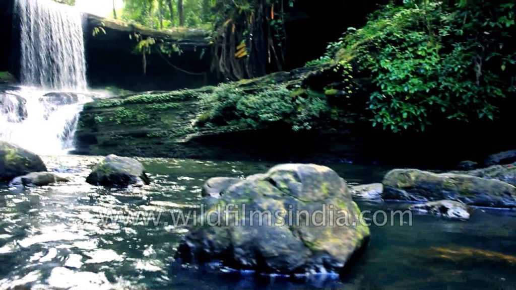 Welcome to Mizoram: songs of the mountains