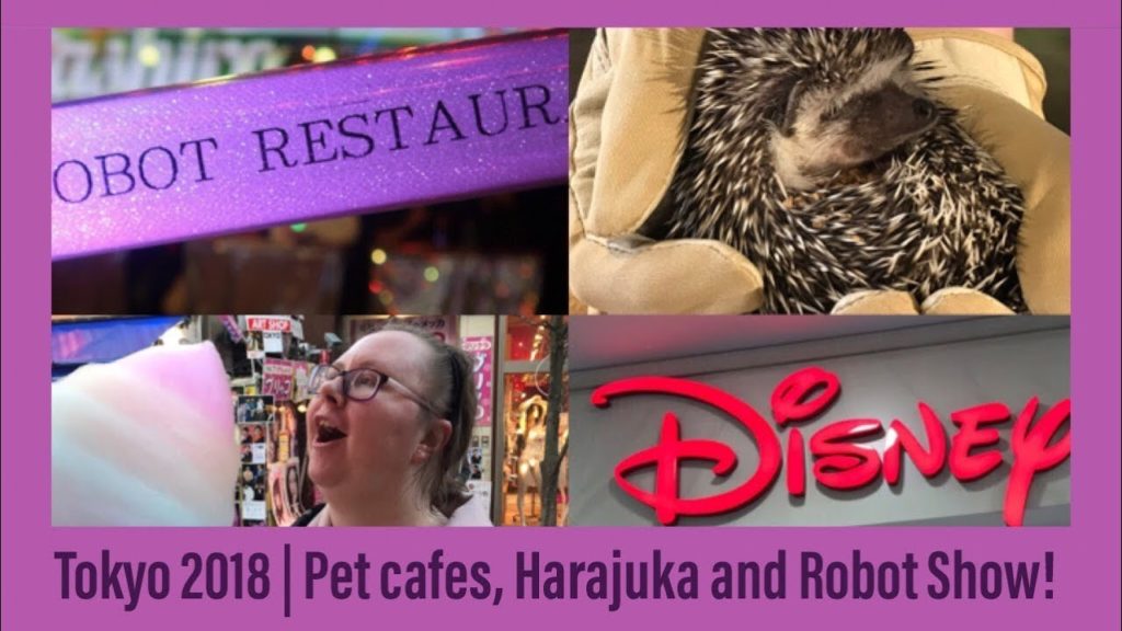 Tokyo Vlog 2018 | Harajuku, Robot Restaurant, Cat, Hedgehog & Owl Cafe Tokyo Vlog 2018 | Harajuku, Robot Restaurant, Cat, Hedgehog & Owl Cafe