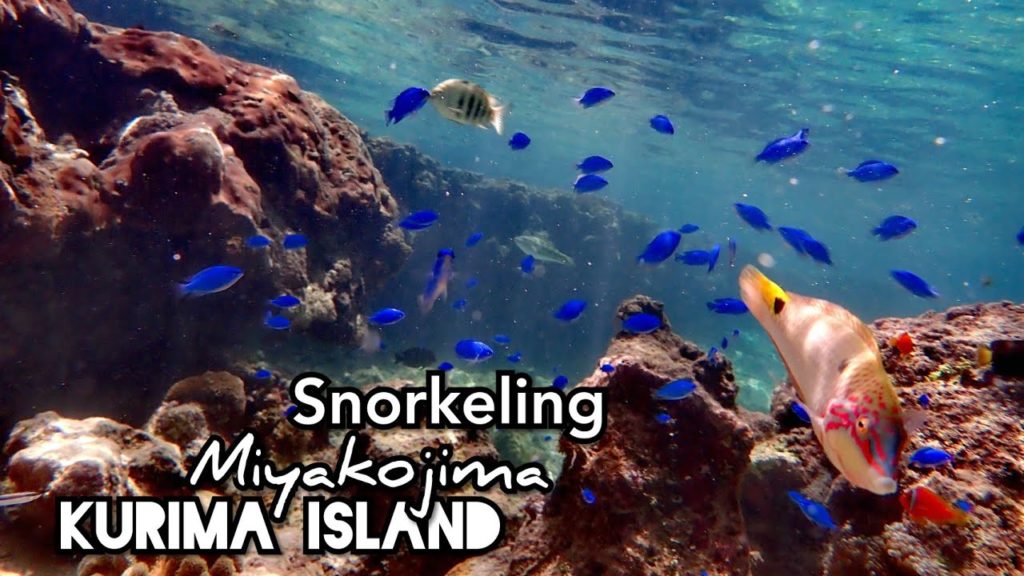 Adeyto & Miki 🐠 SNORKELING at KURIMAJIMA 🏝️ ISLAND Miyakojima OKINAWA 📽️ HUAWEI P20 PRO