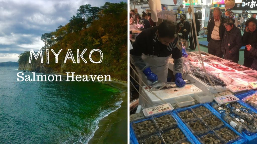 Miyako – Japan's Salmon Heaven – Iwate – Go!Go!Tohoku!! – Japan Travel Miyako - Japan's Salmon Heaven - Iwate - Go!Go!Tohoku!! - Japan Travel