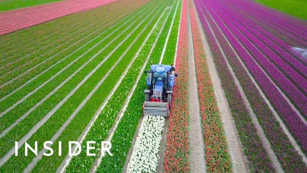 What Spring Looks Like Around The World What Spring Looks Like Around The World