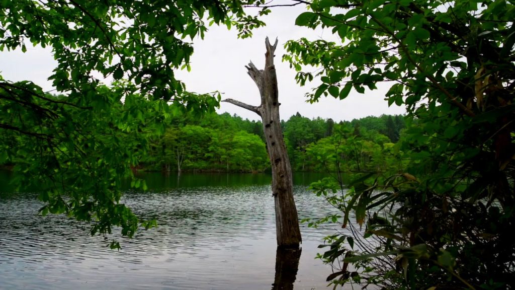 Highlighting JAPAN: The Shin-Etsu Trail