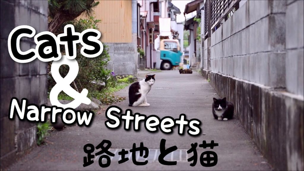 JAPAN VLOG | Narrow Streets and Cats in Mochimune 用宗路地と猫 Eng Subs
