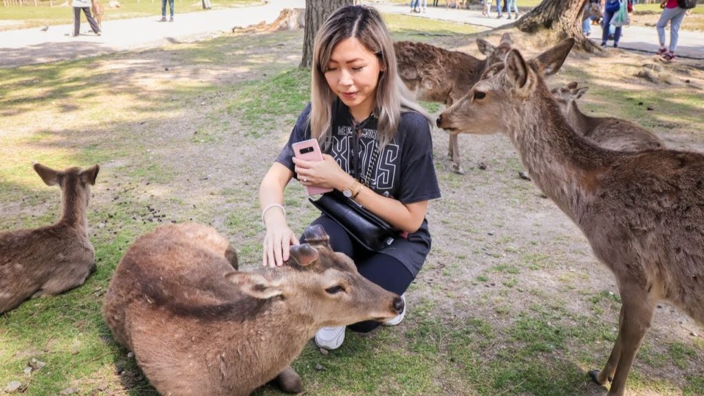 Best Day Trips From Osaka 2019 | Kobe + Himeji + Nara + Yamazaki