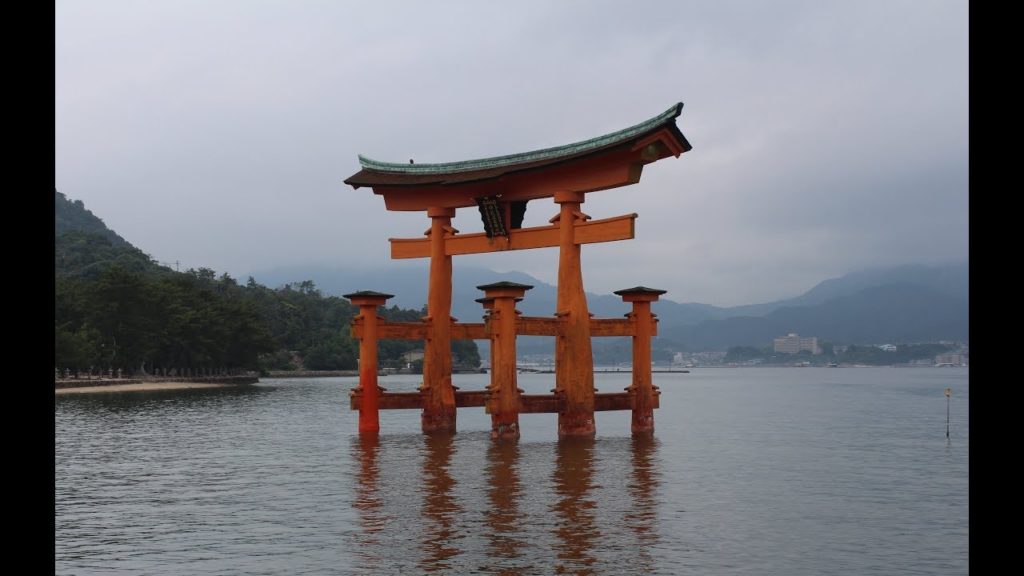 Deadly venomous snake found on Japanese Mountain near Hiroshima