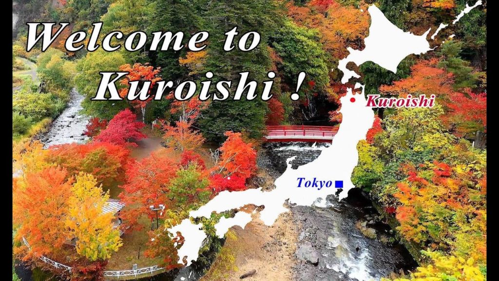 Wabi-Sabi is the quintessential Japanese aesthetic.Kuroishi Aomori Japan. 4K