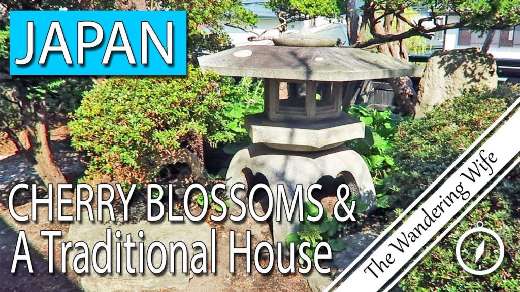 JAPAN: 1,600 Cherry Blossoms and Traditional Japanese House Tour | TRAVEL VLOG #0143