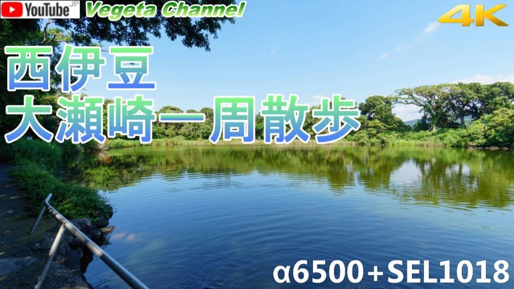 西伊豆 大瀬崎 一周散歩（4K）