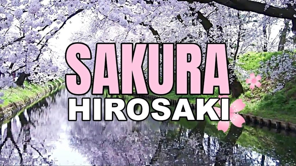 Sakura Cherry Blossoms in Hirosaki - Japan ᴴᴰ ● 桜まつり青森弘前