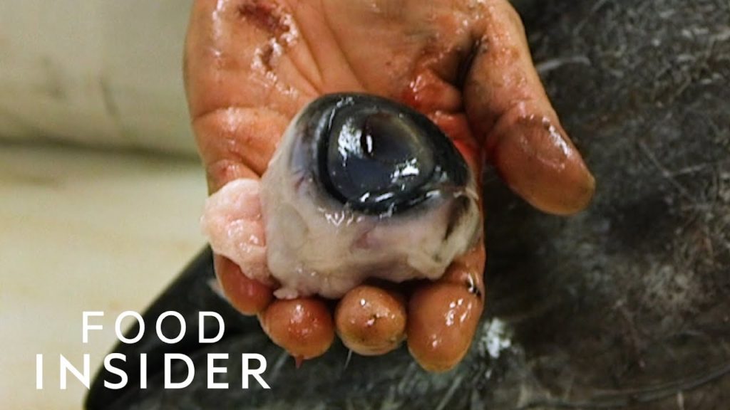 We Tried Fish Eyeballs We Tried Fish Eyeballs