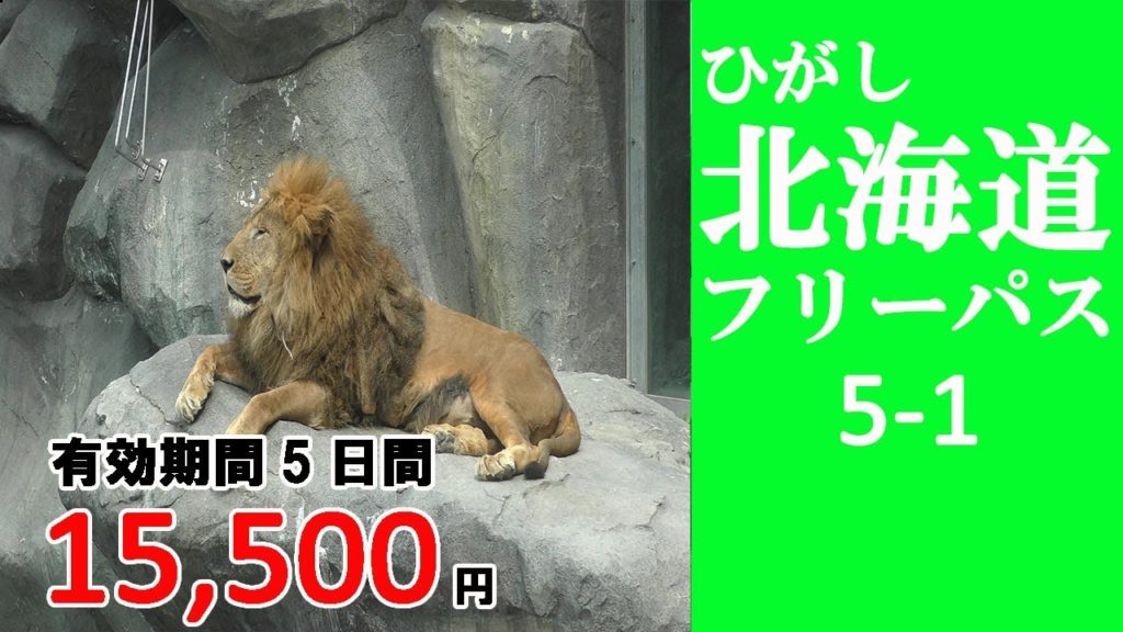 5-1 【ひがし北海道フリーパス】旭川→札幌→新千歳空港→成田空港　札幌でおすすめのラーメン屋さんを紹介　／Hokkaido travel