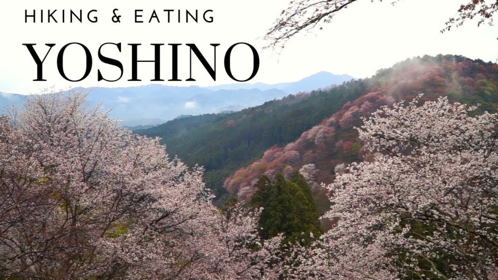 JAPAN TRAVEL: MT YOSHINO! Day 13 JAPAN TRAVEL: MT YOSHINO! Day 13