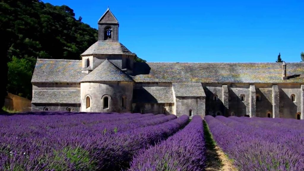 Travel insurance for medical conditions (lavender field)