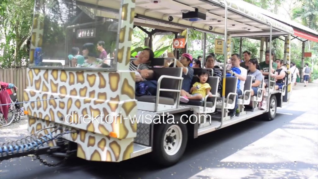 Trip Report The Best Thing To Do in Singapore Zoo | Southeast Asia Travel Route Trip