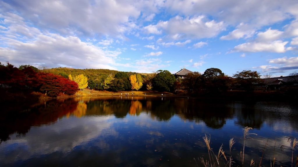 Nara Japan 1 Minute Travel Todai-ji Temple Daibutsu Pond