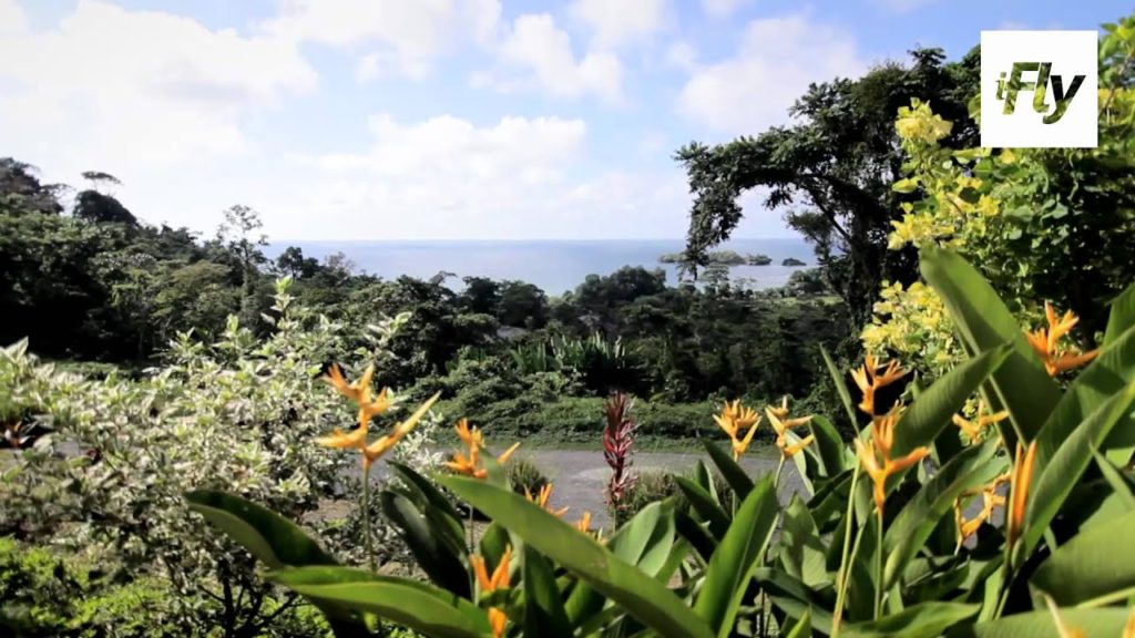 iFly TV: Little Secrets of Panama