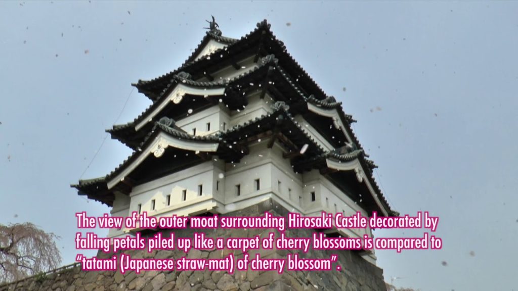 YOKOSO Japan Tour -- Cherry Blossoms Bloom at Hirosaki Park (弘前公園櫻花) --E39