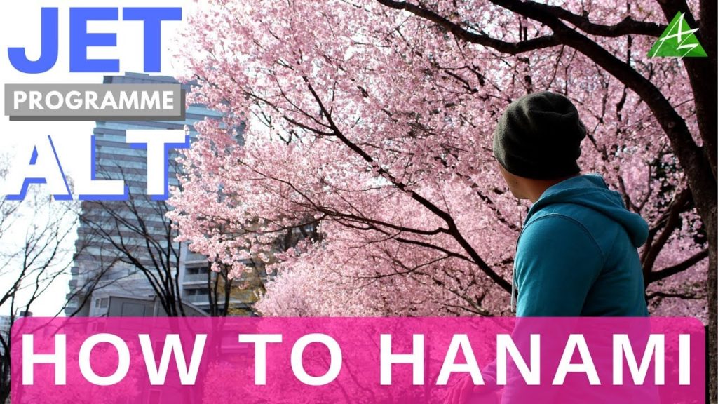 JET Programme ALT: A Guide to Hanami in Sendai & Miyagi