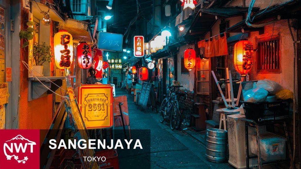 Night Cycling Tour In Sangenjaya, Tokyo - 4K/Osmo Pocket