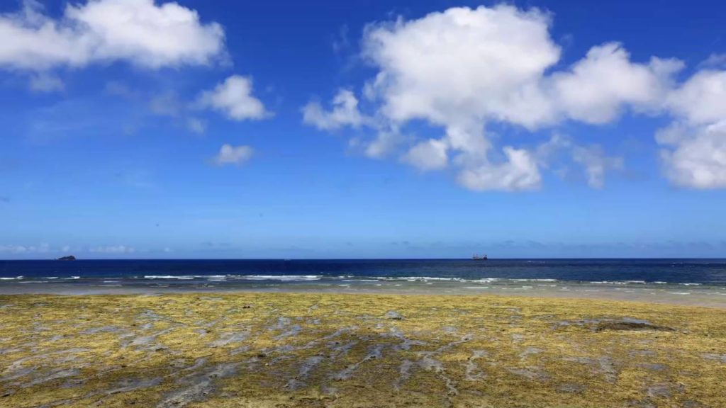 Kagoshima Japan 1 Minute Travel Amamioshima