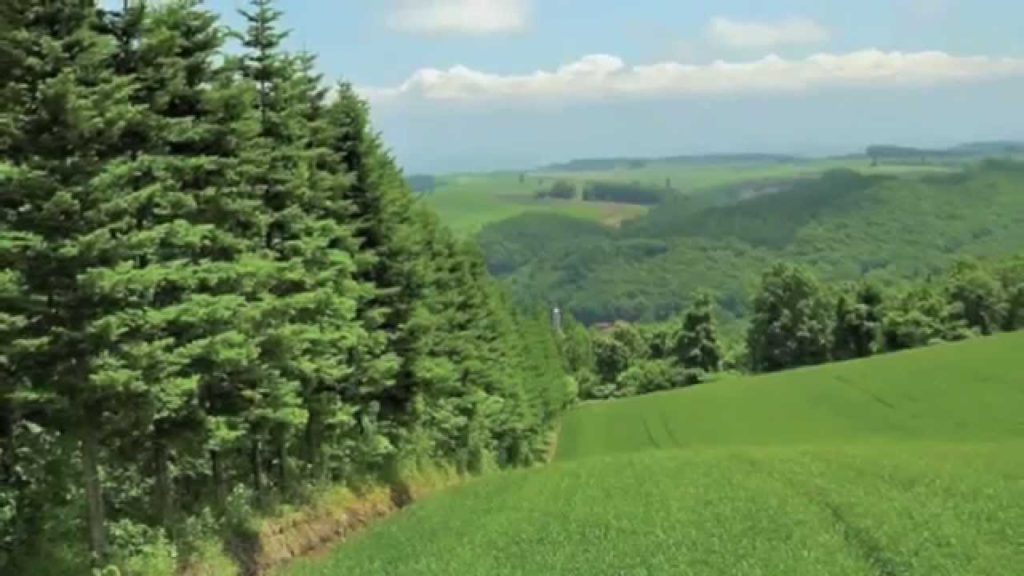 Hokkaido Travel Hokkaido Travel