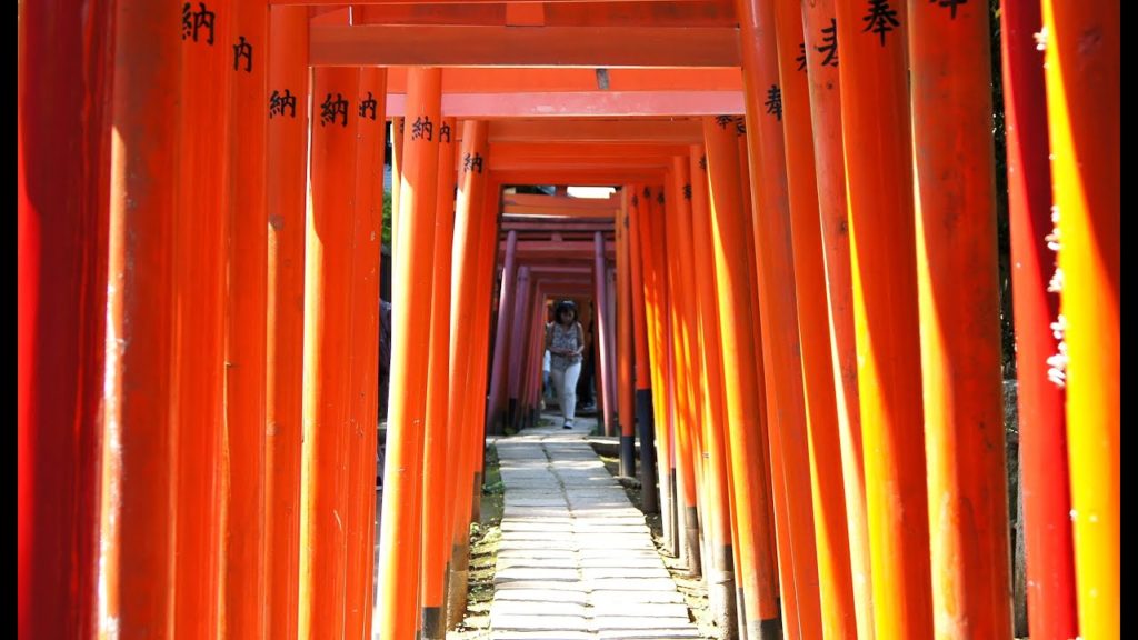 Nezu Jinja Shrine - Tokyo ᴴᴰ ● 根津神社 東京