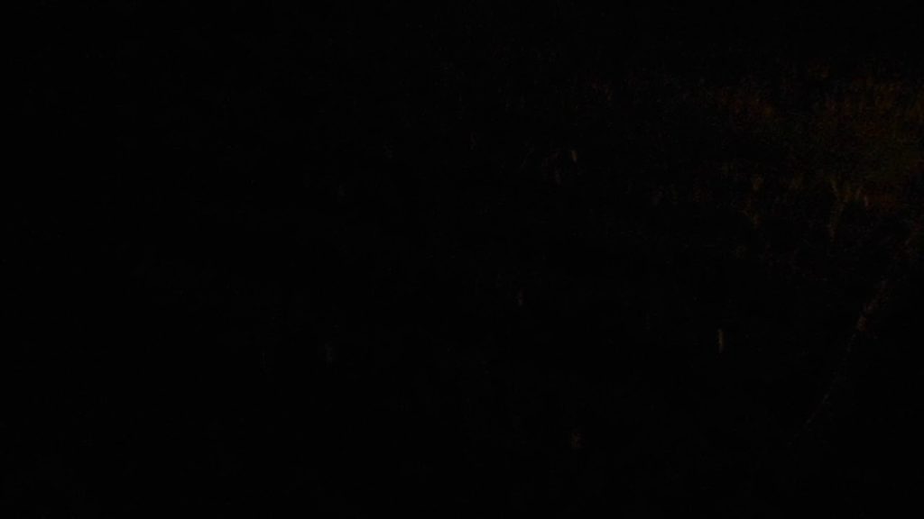 Japan Trip 2017: August 9 - Night Sounds of Korakuen Garden in Okayama