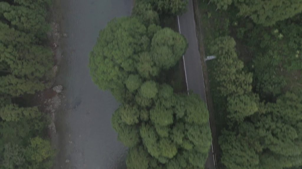 ~京都,1,幻想的,朝霧,早朝,夏,Fantastic morning, Kyoto, Japan, summer,2019,August,part1 ~京都,1,幻想的,朝霧,早朝,夏,Fantastic morning, Kyoto, Japan, summer,2019,August,part1