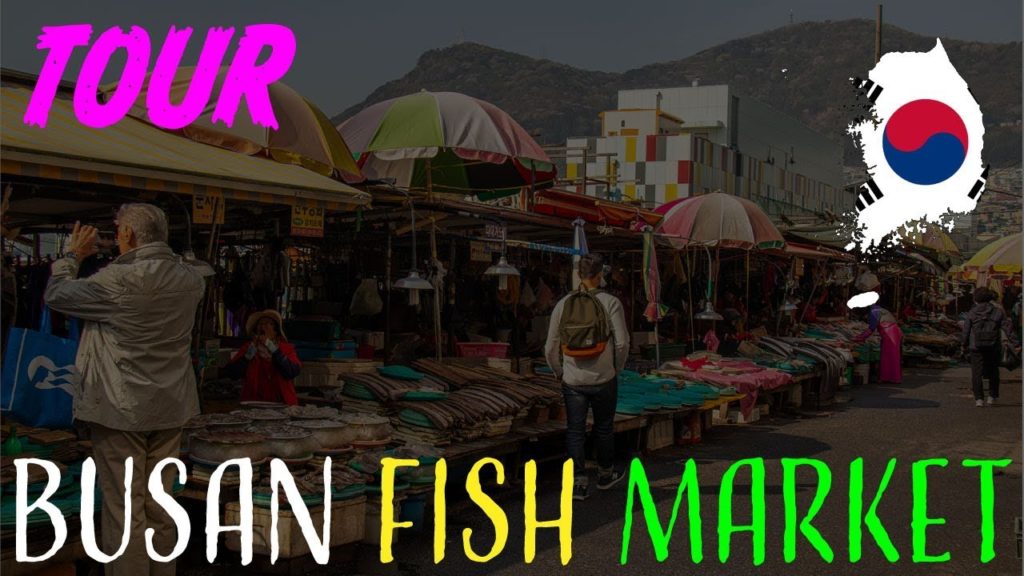 Busan, Korea Fish Market: ONBOARD WITH DIAMOND PRINCESS CRUISES