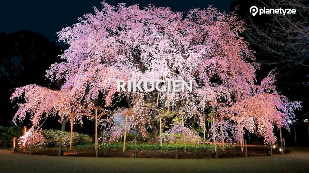 Rikugien, Tokyo | One Minute Japan Travel Guide Rikugien, Tokyo | One Minute Japan Travel Guide